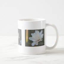 Magnolia Centennials Mug