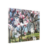 Magnolia Closeup by Fence Gallery Wrap Canvas