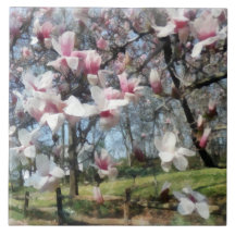 Magnolia Closeup by Fence Tiles