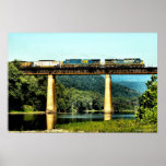 Magnolia Cutoff Poster