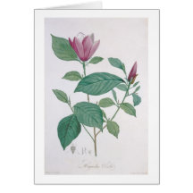Magnolia discolour, engraved by Legrand (colour li Greeting Card