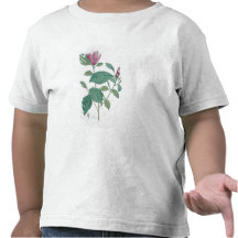 Magnolia discolour, engraved by Legrand (colour li Shirts