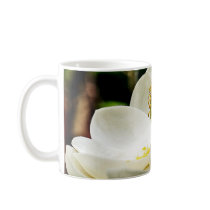 Magnolia Flower Close Up Coffee Mug