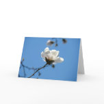 Magnolia Flower Greeting Card Blue Sky Floral