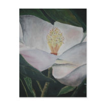 magnolia flower oil painting
