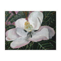 magnolia flower painting acrylic wall art postcards