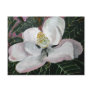 magnolia flower painting acrylic wall art postcards
