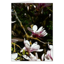 Magnolia Flower Valentine's Day Card