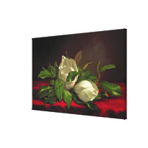 Magnolia canvas prints