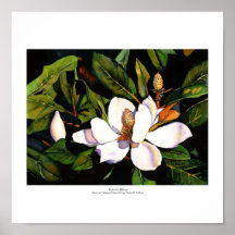 Magnolia Glory Print