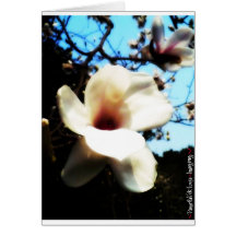 magnolia greeting card