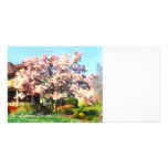 Magnolia Near Green House Photo Cards