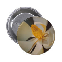Magnolia Pins