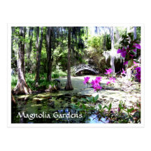 Magnolia Plantation Gardens Charleston SC Postcard