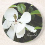Magnolia Sandstone coaster