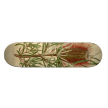 Magnolia Skate Decks