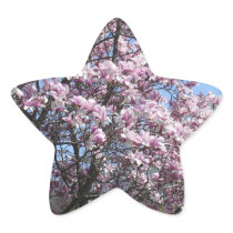 Magnolia Sky Star Sticker
