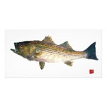 Magnolia Striped Bass photo cards
