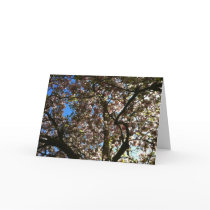 Magnolia Valentine's Card