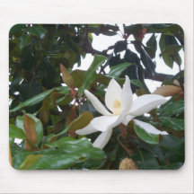 Magnolias - mousepad