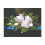 Magnolias on Blue Velvet - Postcard