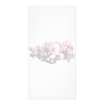 Magnolias Photo Cards
