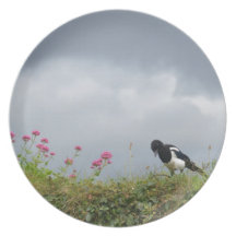 Magpie and wild flowers. dinner plates