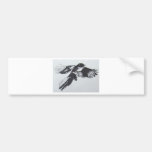 Magpie Bumper Stickers