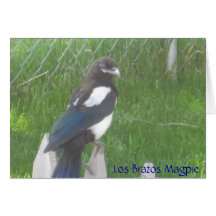 Magpie Cards
