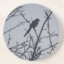 Magpie coaster