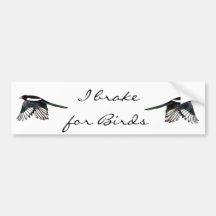 Magpie  - Watercolor Bird Bumper Stickers