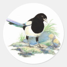Magpie  - Watercolor Bird Round Sticker
