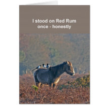 Magpies-and-pony card