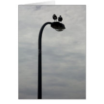 Magpies on Street Light Card