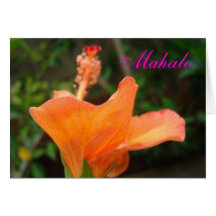 Mahalo Orange Hibiscus card