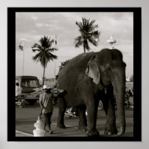 Mahout and Elephant Posters