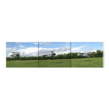 Maiden Flight - Fokker DR1 Triplane  239/17 Photo Art