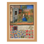 Maiden in  the garden post cards