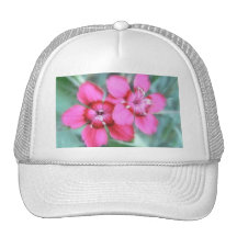 Maiden Pinks Hat