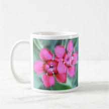 Maiden Pinks Mugs