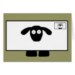 Mail Order Sheep Cards