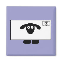 Mail Order Sheep Magnet