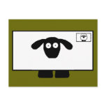 Mail Order Sheep Postcards