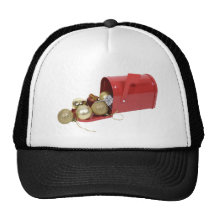 MailboxCheer120409 copy Hat