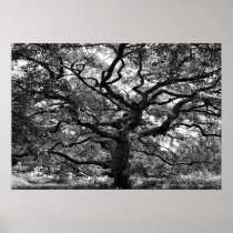 Main Artery Poster