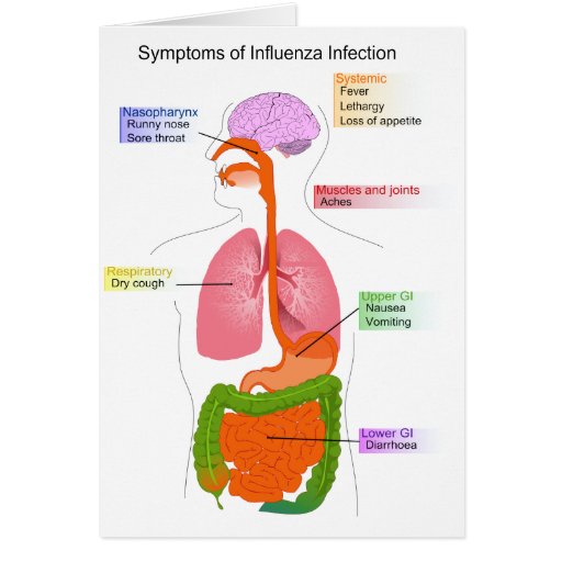 Main Symptoms Of An Influenza Infection Diagram Card