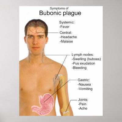 Bubonic Plague History