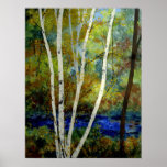 Maine Birch Stream