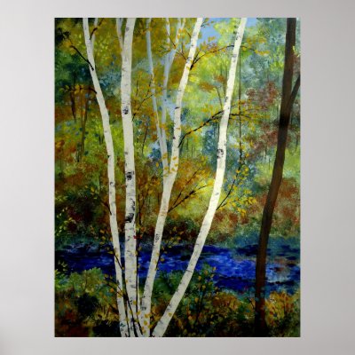Maine Birch Stream Posters by Maine_Art