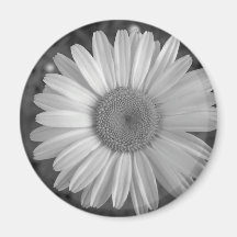 Maine_Black+White_117 Fridge Magnet